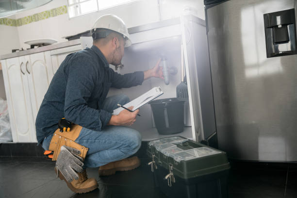 Best Plumbing Services Near Me  in Forrest, IL