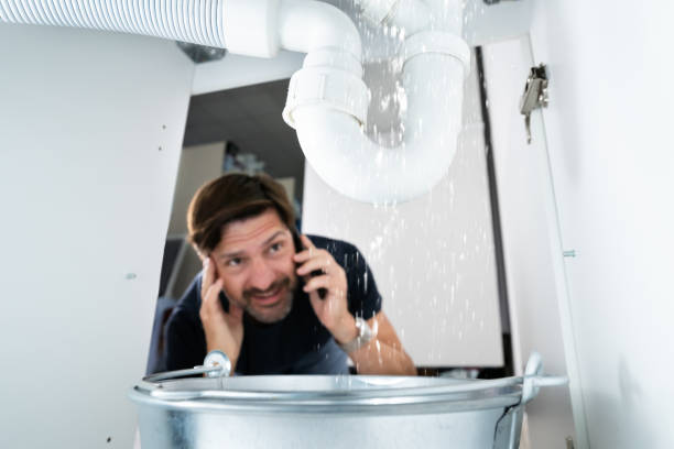  Forrest, IL Plumbing Pros