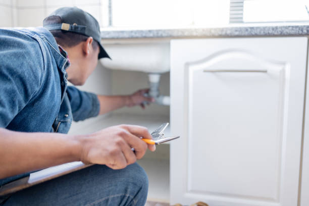 Best Emergency Plumber  in Forrest, IL