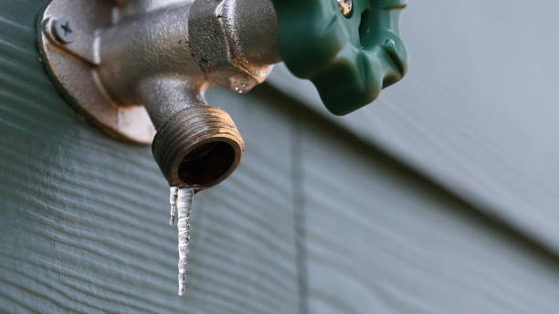 Best Same-Day Plumbing Service  in Forrest, IL