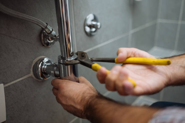 Best Affordable Plumber Near Me  in Forrest, IL