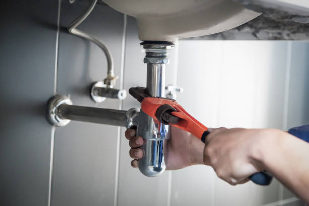 Best Emergency Plumber  in Forrest, IL
