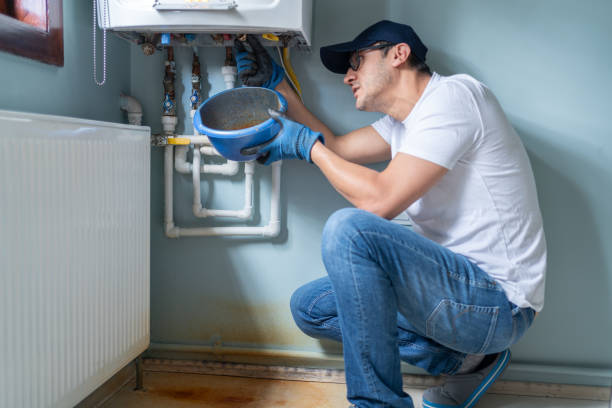 Best Affordable Plumbing Services  in Forrest, IL