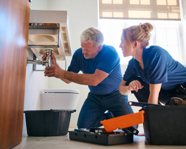 Best Clogged Drain Plumber  in Forrest, IL